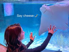 -沈阳海洋探索中心