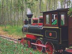 -合肥滨湖国家森林公园