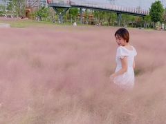 -王借岗森林公园