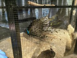 -酷嗒动物文化乐园(cutezoo西溪乐天城店)