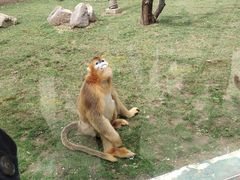 -西安秦岭野生动物园