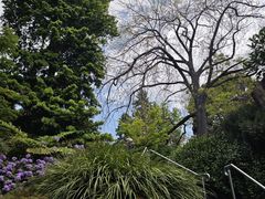 -墨尔本皇家植物园