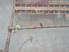 -昆明动物园
