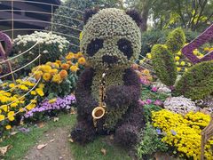 -杭州植物园