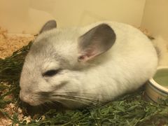 -龙猫仔乐园(惠福东路店)