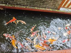 -侠成水上农庄(工业大道店)