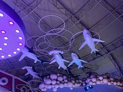 -烟台海昌鲸鲨海洋公园