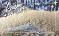 -恐龙探索乐园(磁器口店)