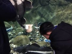 -梦幻海洋王国(吾悦广场张家港店)