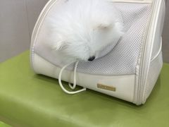 -瑞鹏宠物医院·骨外科·心肾科·肿瘤科(九亭店)