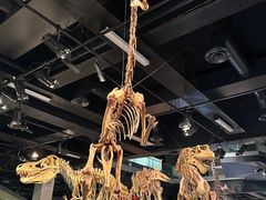 -墨尔本博物馆(Melbourne Museum)