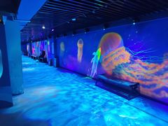 -海合安成都极地海洋公园