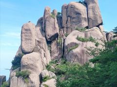 -九华山聚龙大酒店