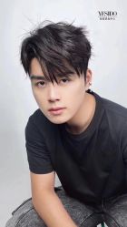 -YESIDO椰岛造型