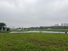 -洋湖国家湿地公园