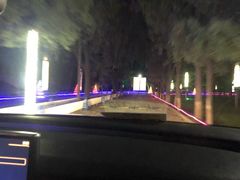 -枫花园汽车电影院(朝阳公园店)