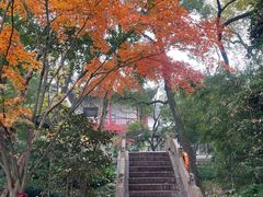 -汇龙潭