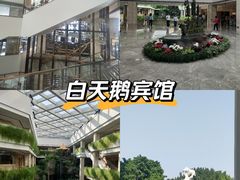 -广州白天鹅宾馆