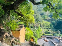 -杨家堂村