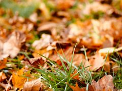 -河南省黄河迎宾馆