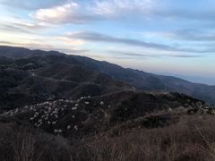 -北京西山国家森林公园