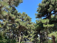 -北京西山国家森林公园