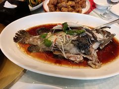 -双井轩(双井店)