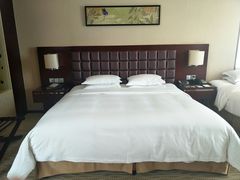-上海浦东绿地铂骊酒店