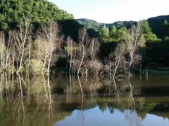 -道须沟旅游风景区