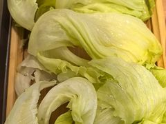 -蝎王府羊蝎子(西直门店)