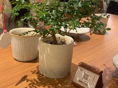 -CURRY YA 熟成咖哩專門店(深圳湾万象城店)