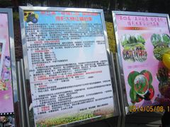 启示-长春公园(普阳街道)