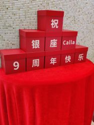 -银座Calla日式美容沙龙