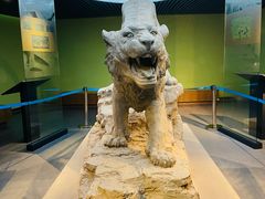 -鄂尔多斯青铜器博物馆