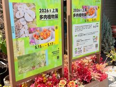 -瑞虹新天地月亮湾