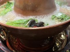 -果松木炭酸菜铜火锅·外婆参鸡汤