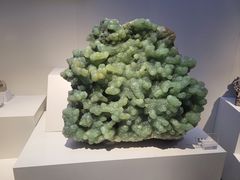 -重庆自然博物馆(新馆)