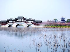 -上海海湾国家森林公园