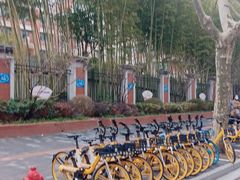 -上海市黄浦区卢湾第一中心小学