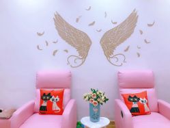 -Lab Season惜辰颜究社