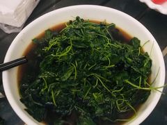 酒香金花菜-旺山·浪头人家