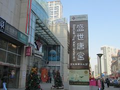 盛世唐宫海鲜舫-方恒购物中心(望京小街店)