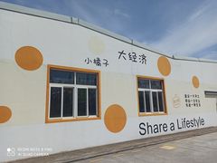 -前小桔亲子创意农场·草莓采摘·露营烧烤