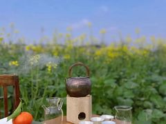 -光明小镇欢乐田园