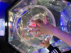 -北京科学中心儿童乐园