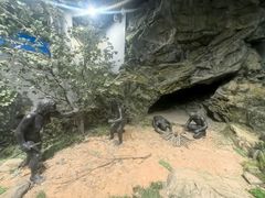 -北京周口店北京人遗址博物馆