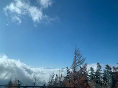 -富士山吉田線五合目
