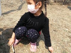 -丁香湖公园