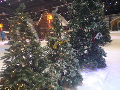 -宁波冰雪大世界(北仑区)