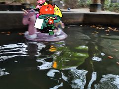 -西安国际创新人才交流中心•药浴温泉